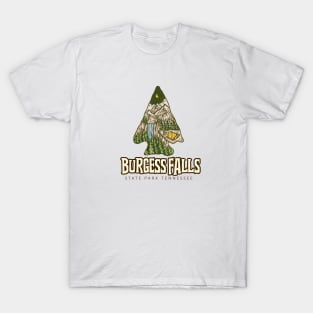 BURGESS FALLS STATE PARK TENNESSEE T-Shirt